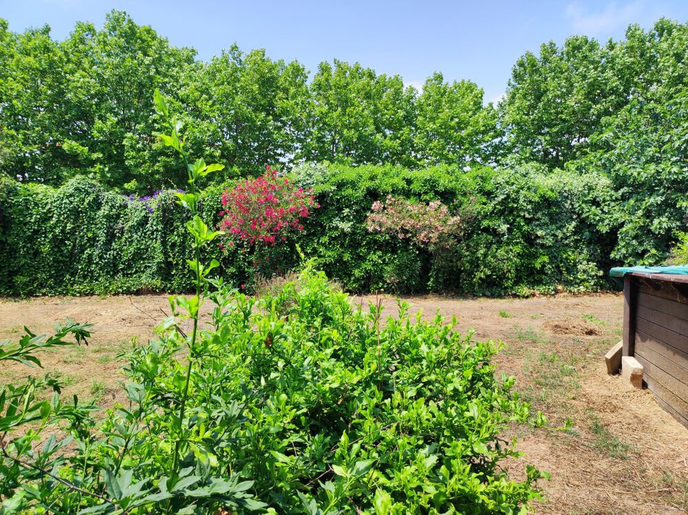 � vendre  Maison Frontignan (34110)