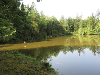  Terrain � vendre 4560 m�