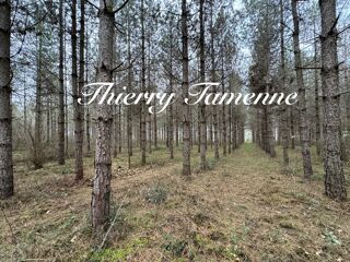  Terrain � vendre 33570 m�