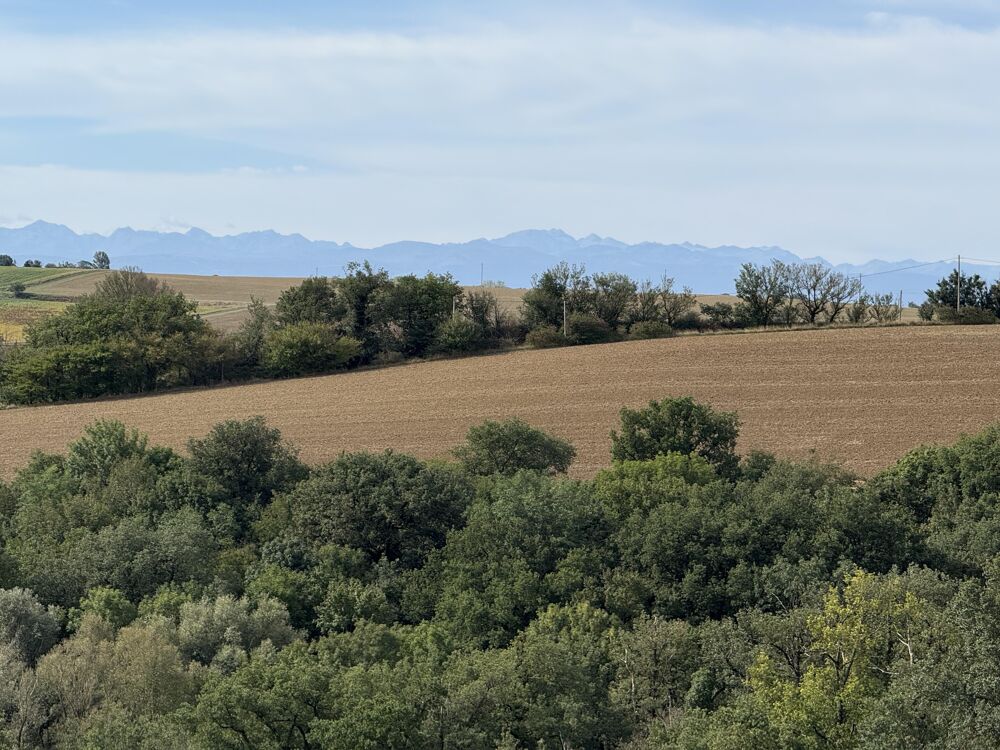 Vente Maison Ferme 6 pi�ces Lagarde