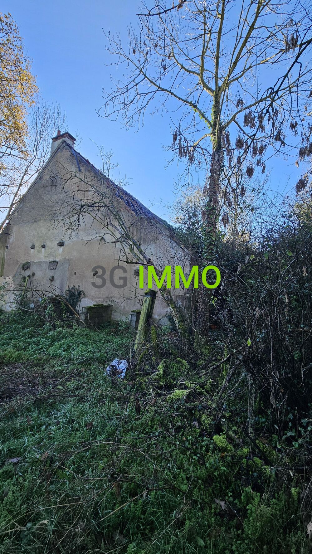 Maison 1 pièce
