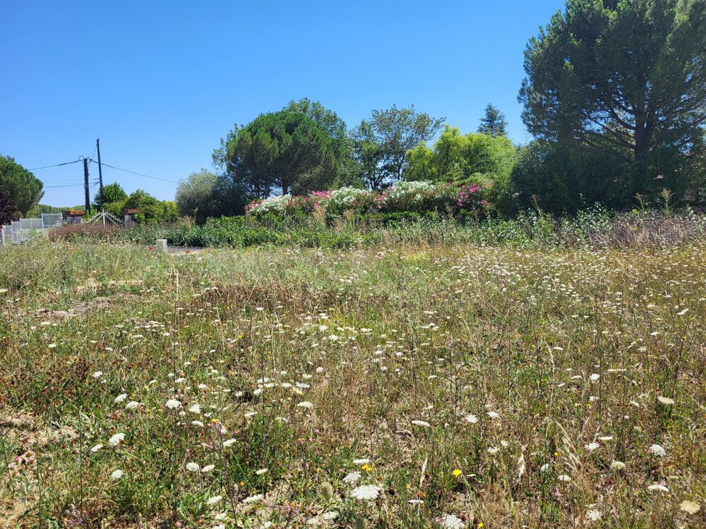 Vente Terrain Terrain constructible Escalquens