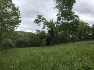  Terrain  vendre 1690 m Caignac