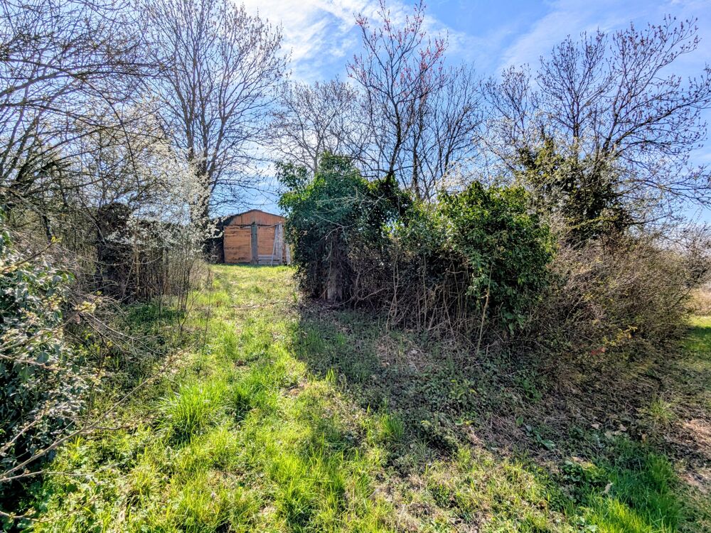 Vente Terrain Terrain constructible Neulise