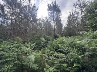  Terrain � vendre 141093 m�