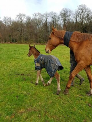  Maison � vendre 7 pi�ces 204 m�