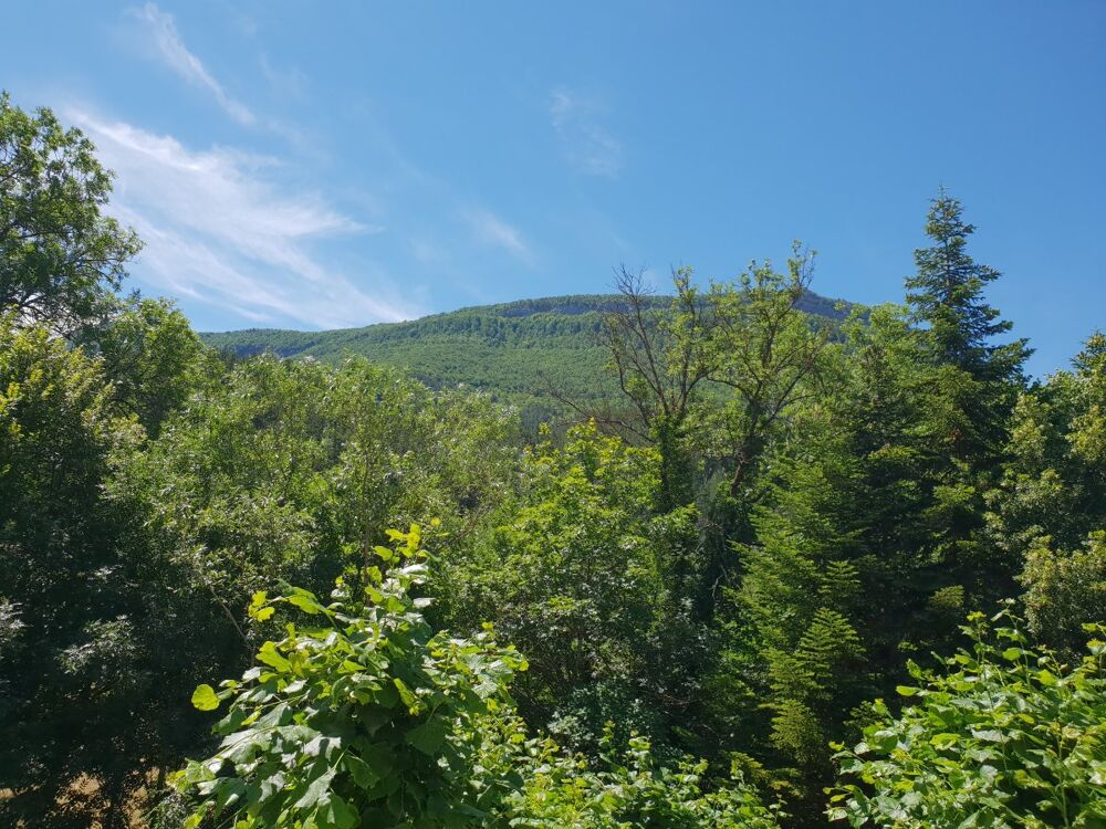 Vente Maison Maison 7 pièces Beaurières