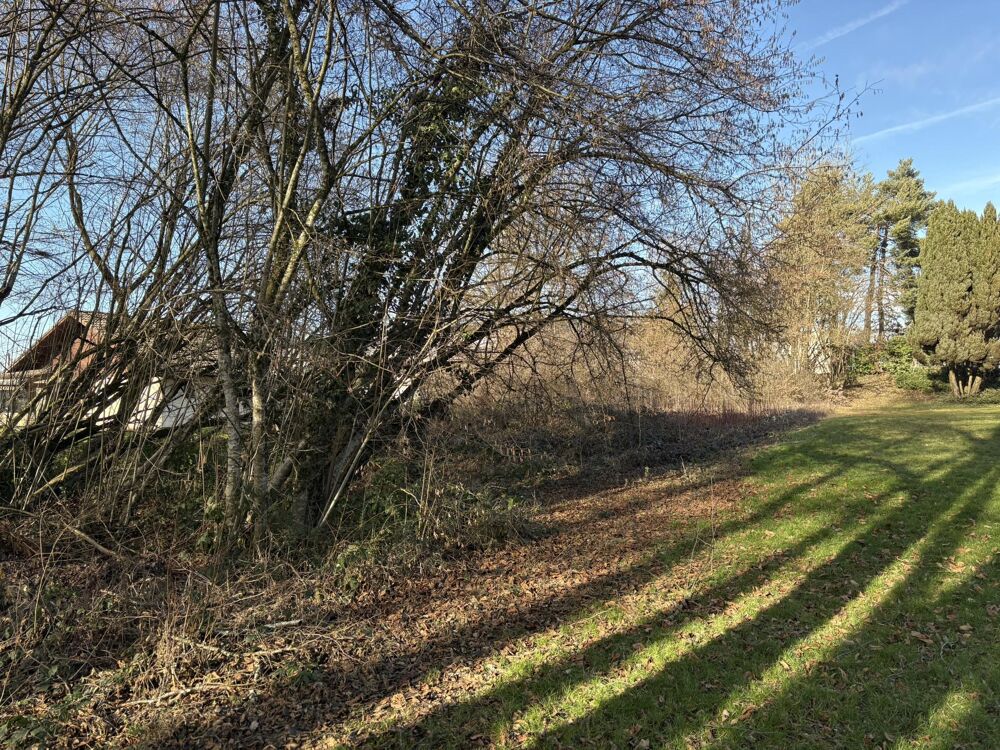 Vente Terrain Terrain constructible Allinges