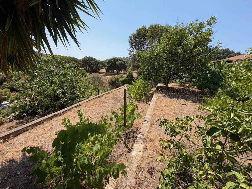 Vente Maison Maison 5 pièces Ajaccio