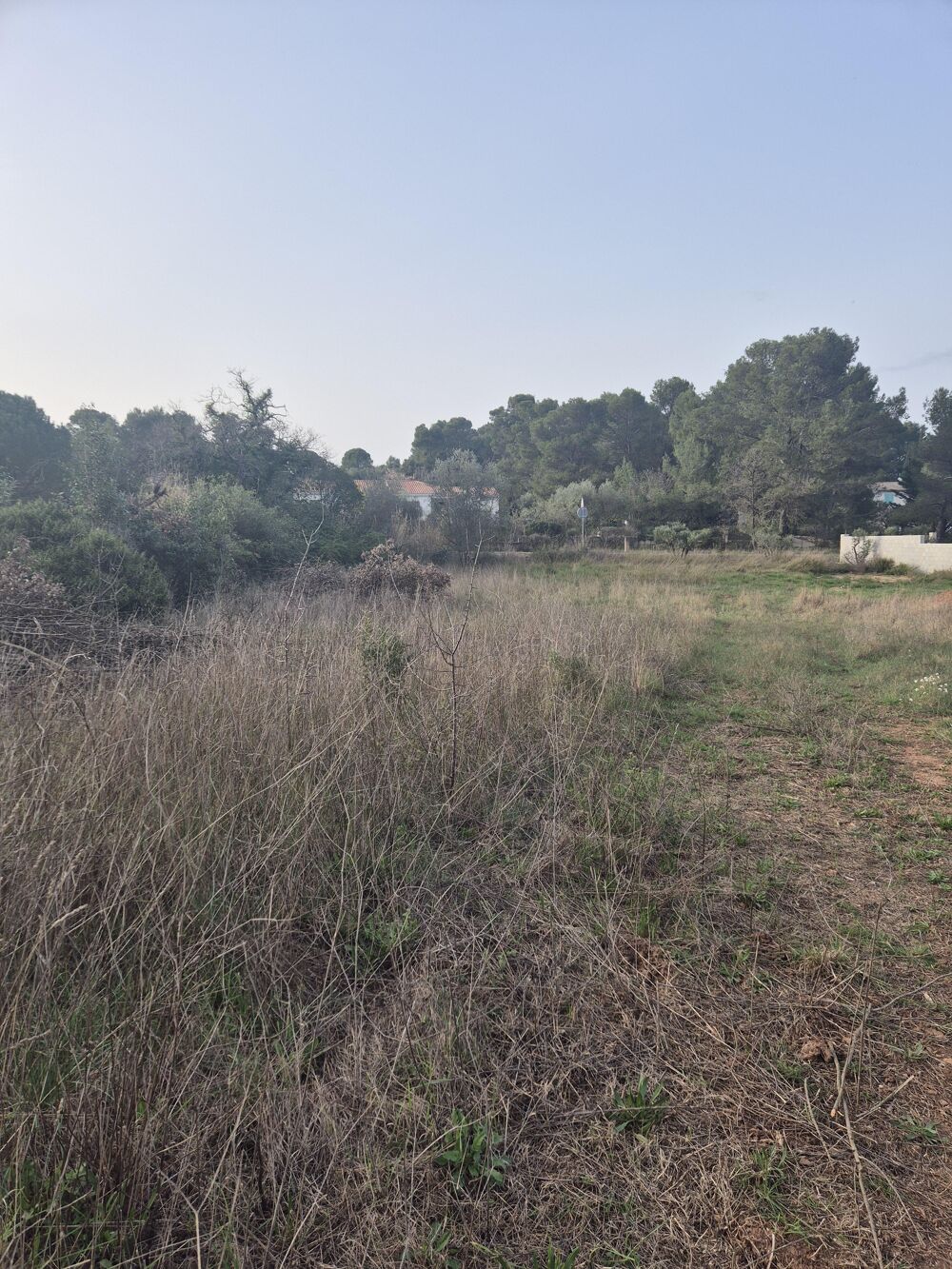 Vente Terrain Terrain constructible Clermont-l'hérault