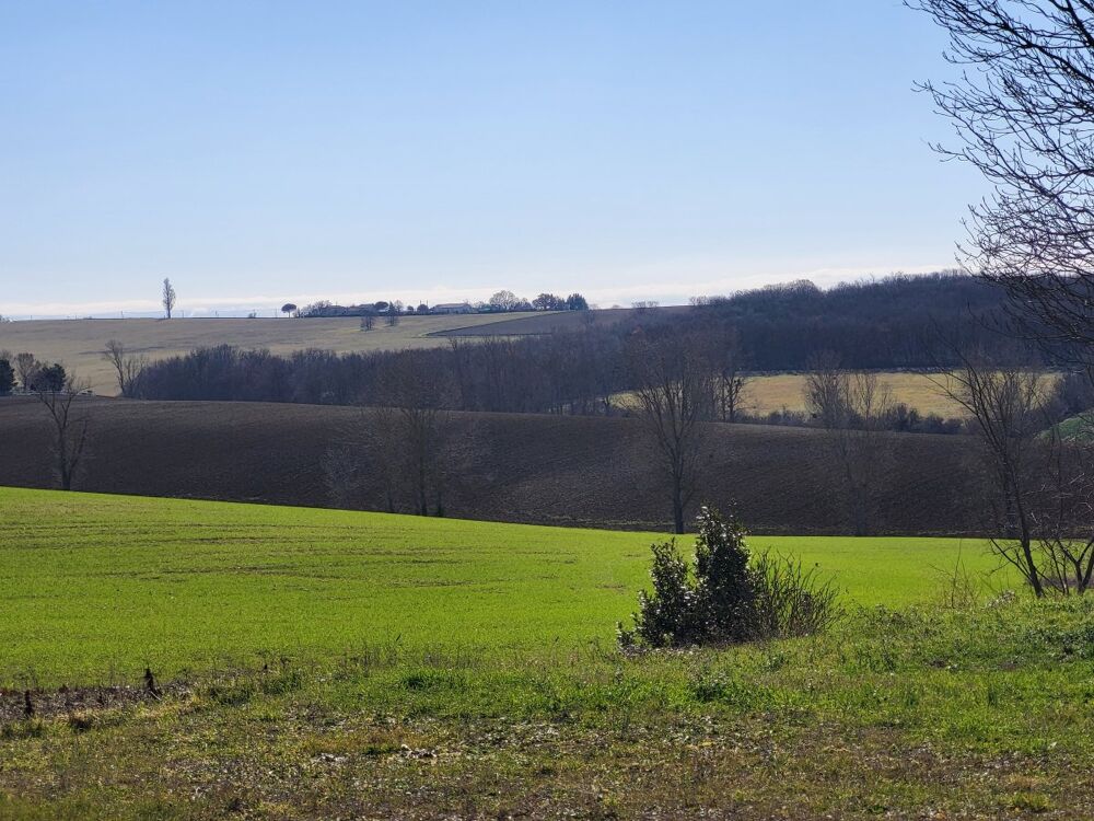 Vente Terrain Terrain constructible Odars