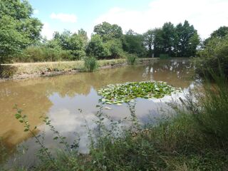  Terrain � vendre 11460 m�