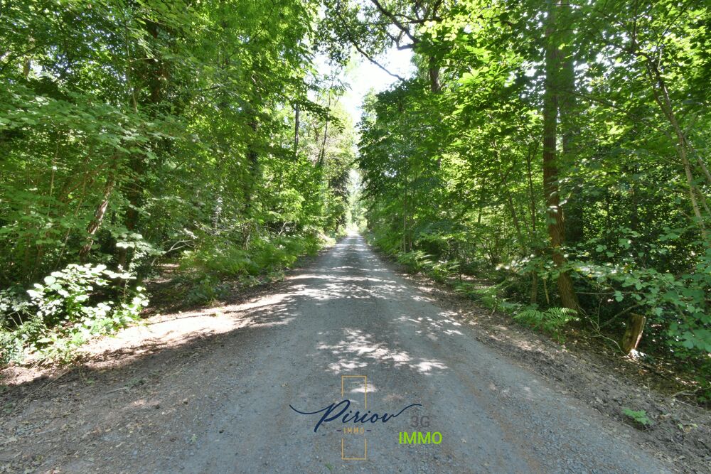 � vendre  Maison Les Rosiers-sur-Loire (49350)