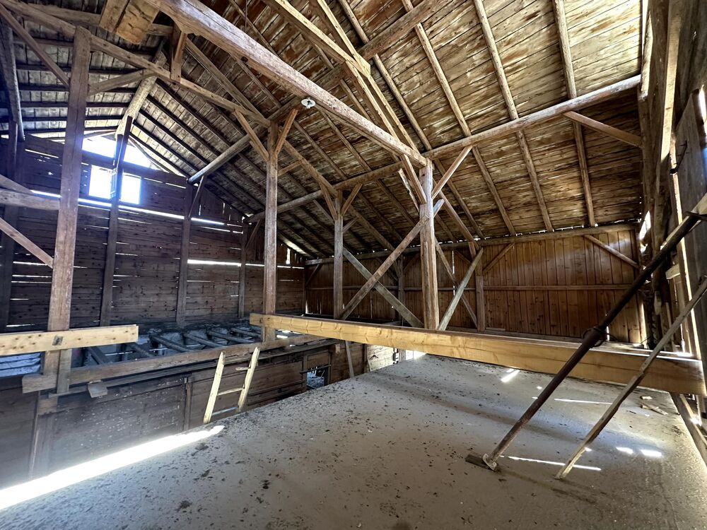 � vendre  Propri�t�/ch�teau Praz-sur-Arly (74120)