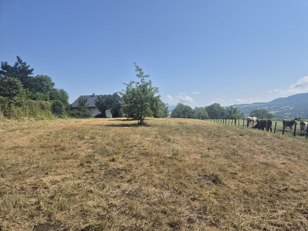 Vente Terrain Terrain constructible Sillingy