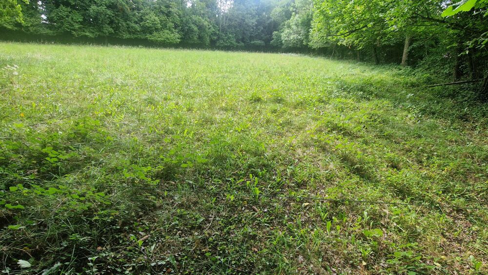 Vente Terrain Terrain constructible Chapdes-beaufort