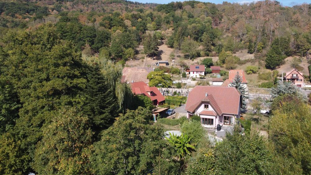 Vente Maison Maison et grand terrain 6 pièces Lautenbach