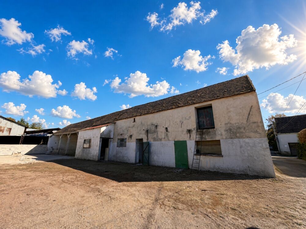 Vente Maison Maison 8 pièces Villemer