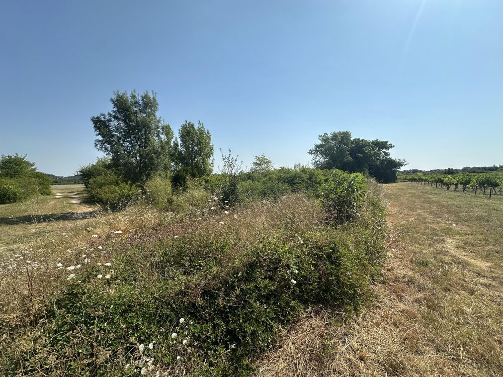 Vente Terrain Terrain agricole Laudun-l'ardoise