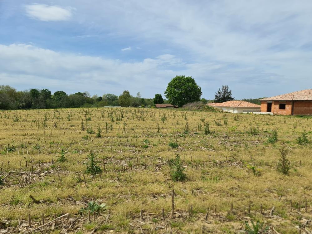 Vente Terrain Terrain constructible Sainte-marie-de-gosse