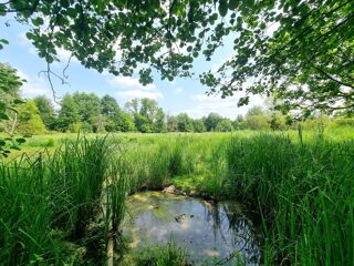  Immeuble � vendre 15 + pi�ces 