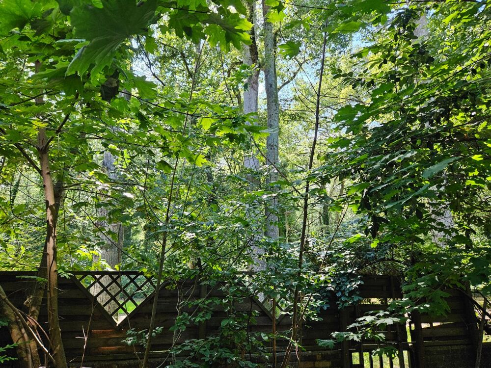 Vente Appartement Appartement 4 pi�ces �vry-courcouronnes