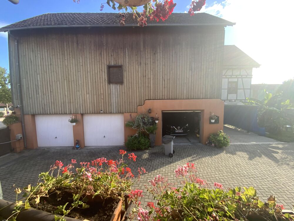 Vente Maison Maison et grand terrain 5 pièces Mussig