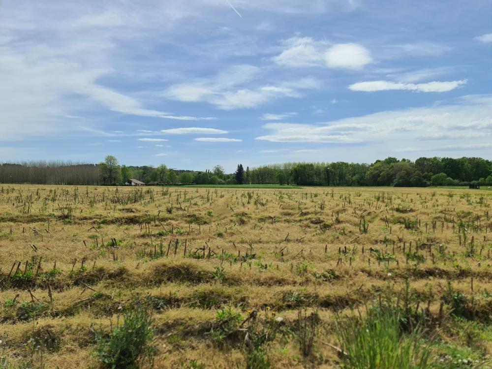 Vente Terrain Terrain constructible Sainte-marie-de-gosse