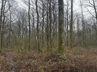  Maison � vendre 12 pi�ces 300 m�