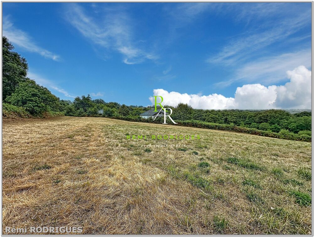 Vente Terrain Terrain constructible Boueilh-boueilho-lasque