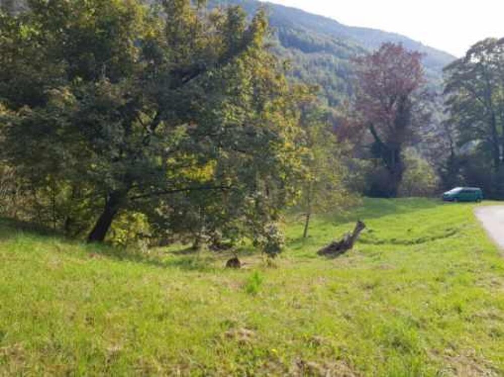 Vente Terrain Terrain Queige