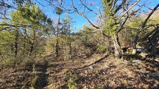  Terrain à vendre 24790 m²