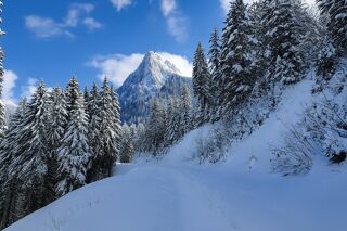  Appartement  vendre 1 pice 17 m