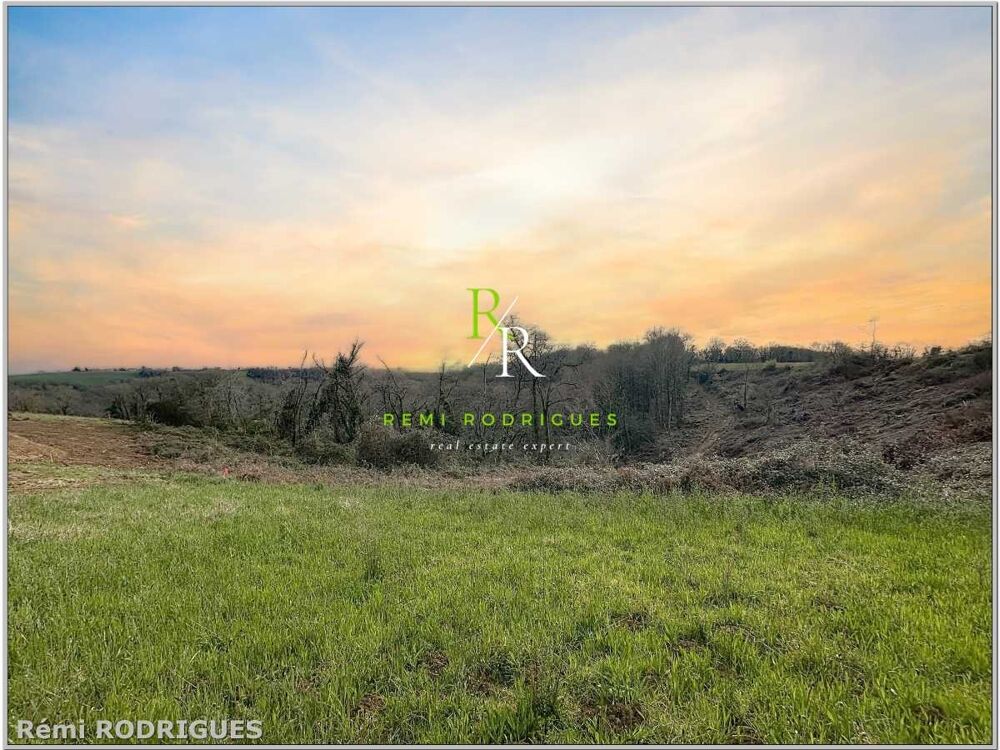 Vente Terrain Terrain constructible Sauvagnon