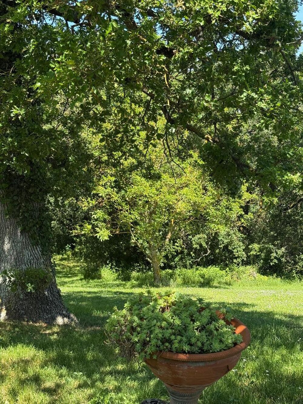 Vente Maison Maison 9 pièces Belflou