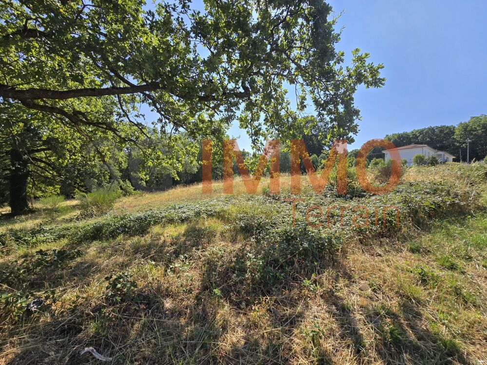 Vente Terrain Terrain constructible Montmorin