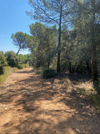  Terrain  vendre 20618 m Salernes