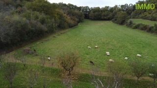  Maison  vendre 10 pices 