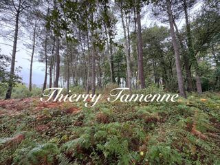  Terrain � vendre 51575 m�