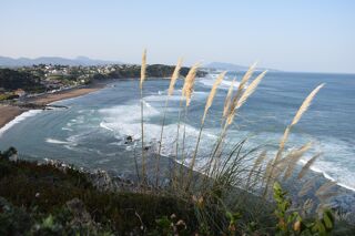  Appartement � vendre 2 pi�ces 45 m�