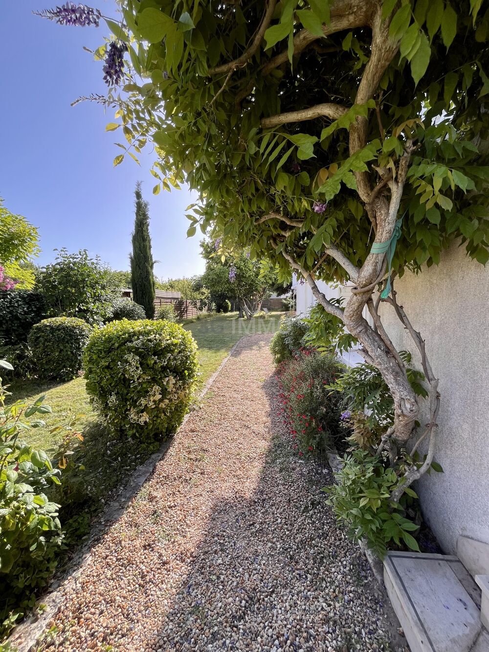 Vente Maison Maison d'architecte 6 pièces Saint-cyr-sur-loire