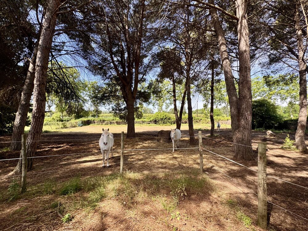 à vendre  Maison Béziers (34500)