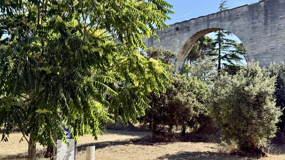Vente Terrain Terrain constructible Carpentras