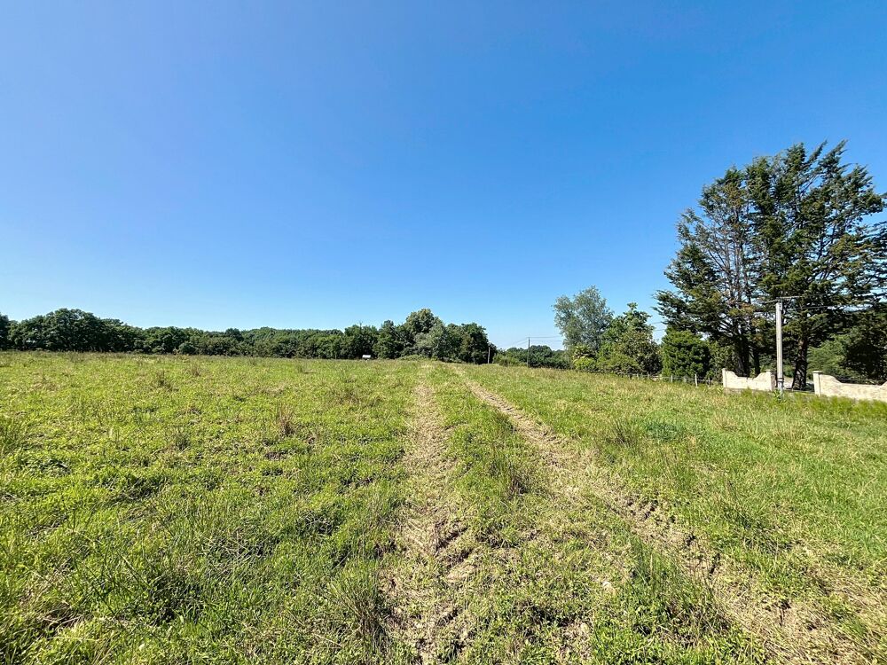 Vente Terrain Terrain constructible Lahourcade