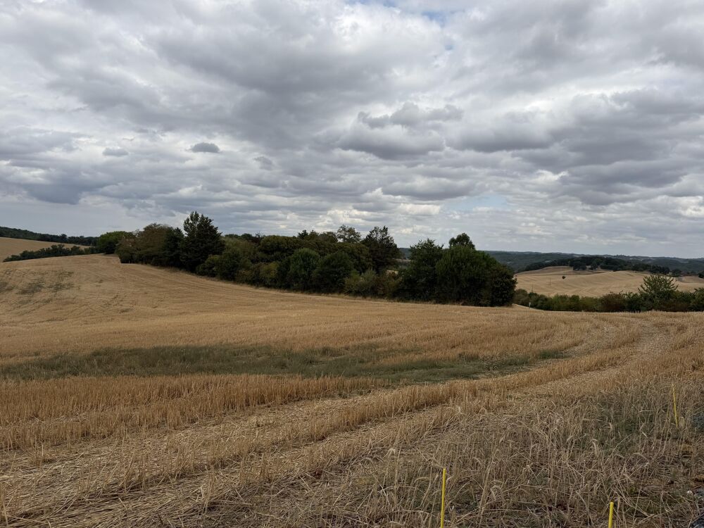 Vente Terrain Terrain constructible Labéjan