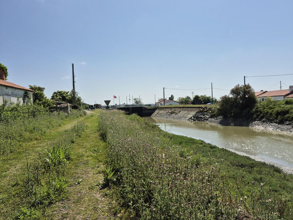 Vente Terrain Terrain agricole Beauvoir-sur-mer