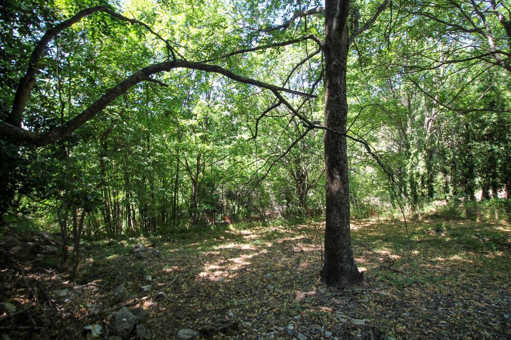 Vente Terrain Terrain constructible Montbrun-les-bains