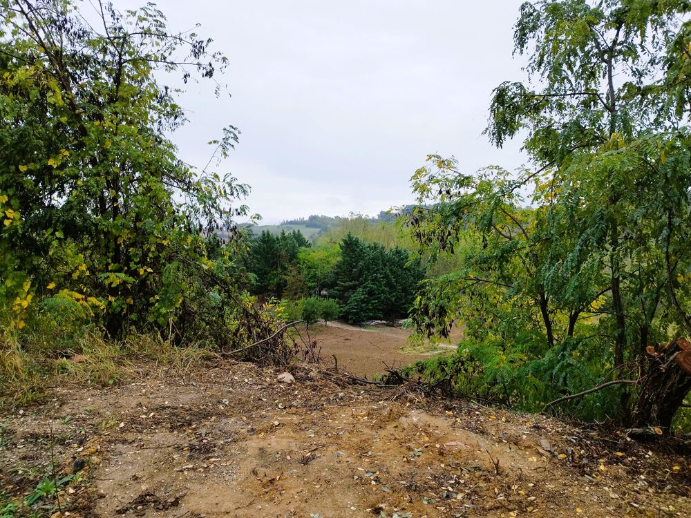 Vente Terrain Terrain constructible Molières