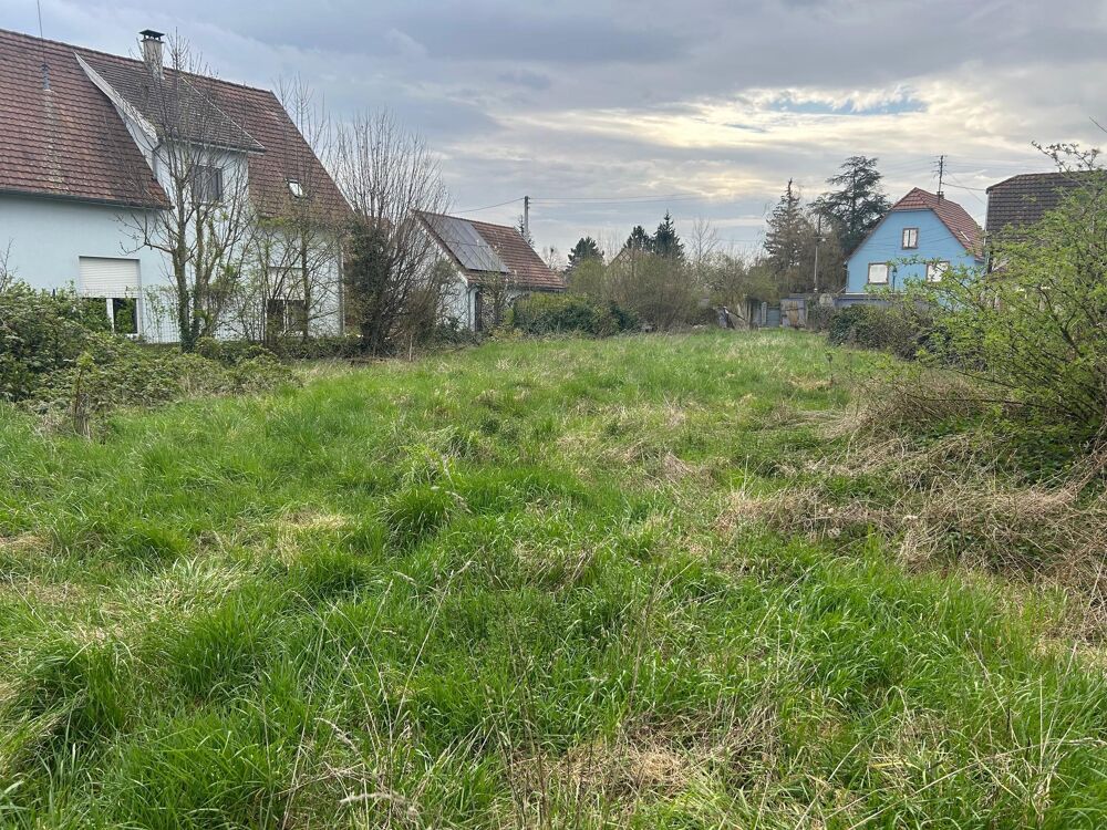 Vente Terrain Terrain constructible Muntzenheim