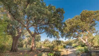  Maison  vendre 9 pices 263 m